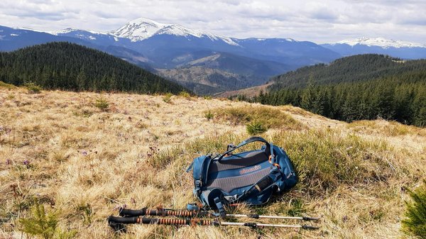Discover the Most Captivating War of the Roses Historical Reenactments Across England