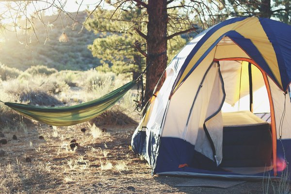 How to organize a group camping trip in the UK?